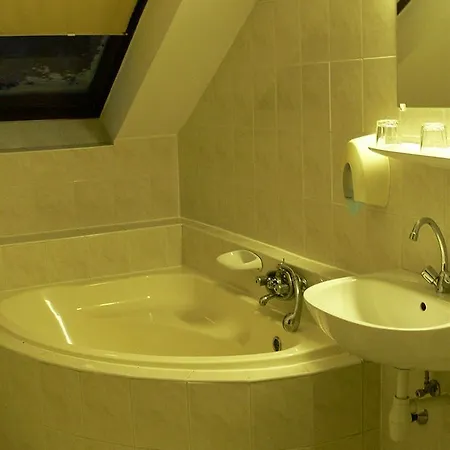Guest house Svajci Lak